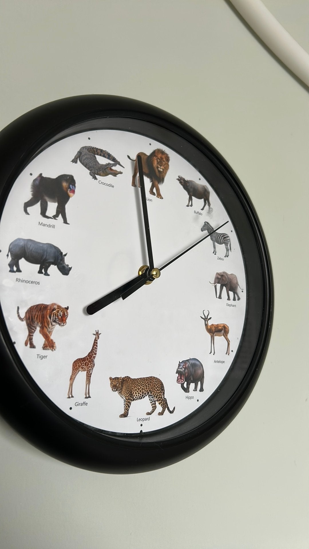 Klok met geluid van dieren, Ophalen, Zo goed als nieuw, Wandklok