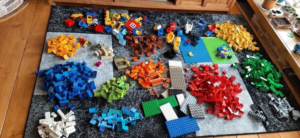 Duplo: Mega veel bouwstenen, platen, poppetjes en meer!, Ophalen