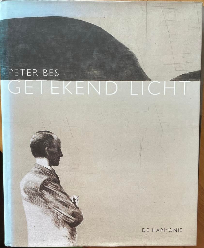 Getekend Licht - Peter Bes (De Harmonie), Ophalen of Verzenden, Zo goed als nieuw