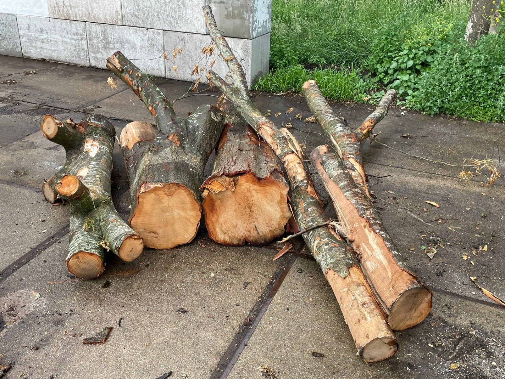Amirikaanse eik brand/kloofhout rondhout, Minder dan 3 m³, Ophalen of Verzenden