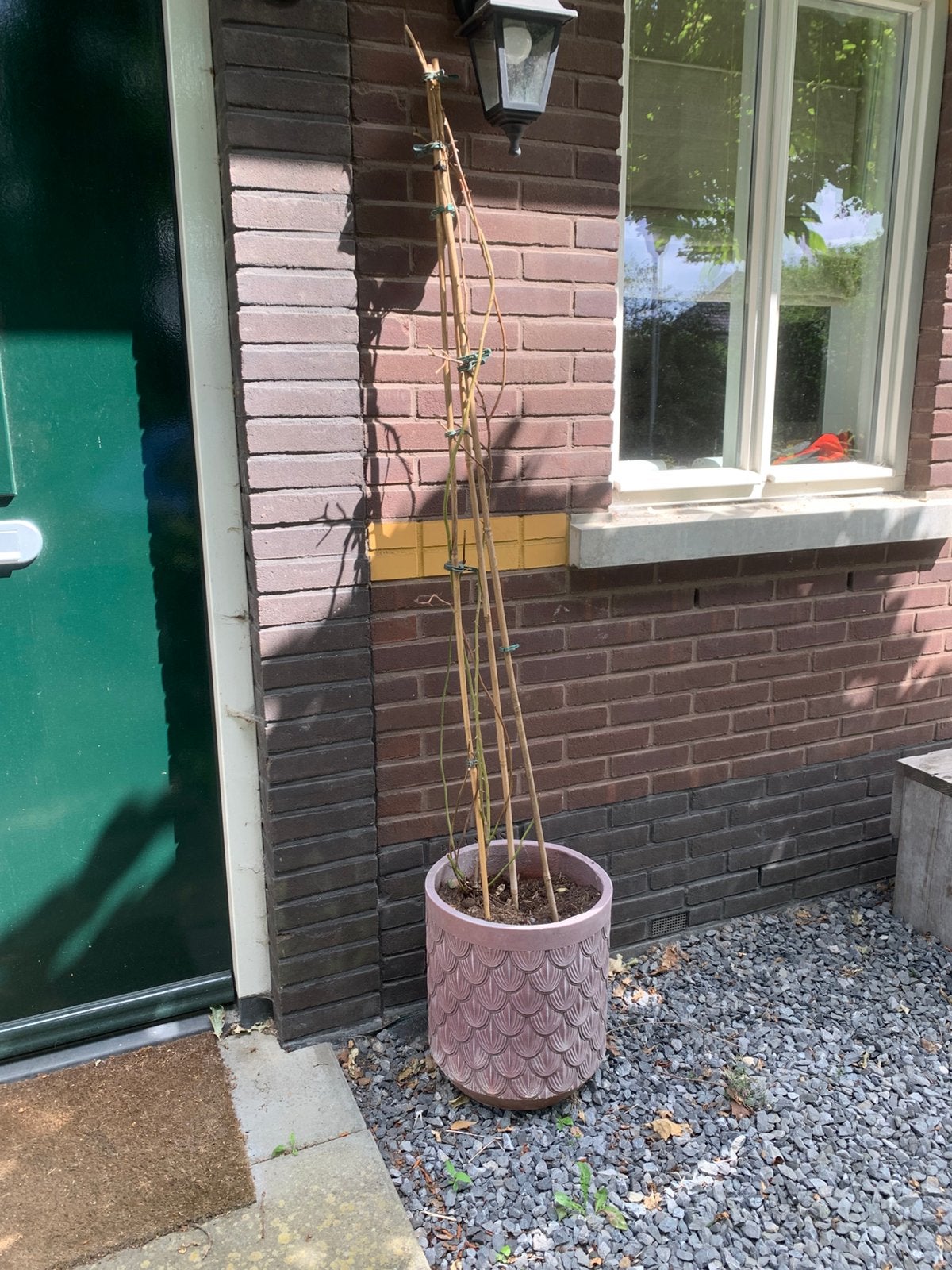 Bloempot terra intratuin, Ophalen, Rond, Aardewerk, Minder dan 40 cm