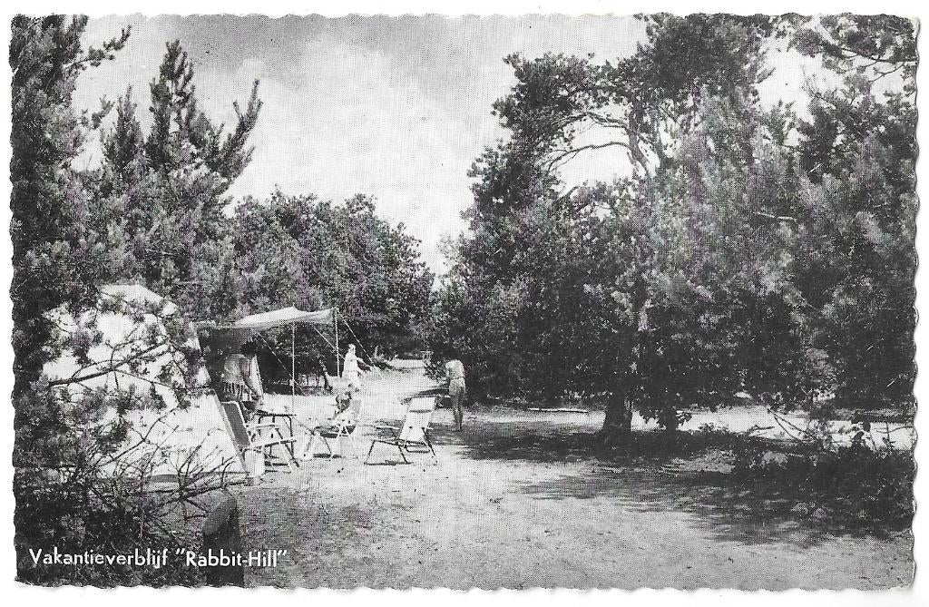 AK Nieuw-Milligen - Vakantieverblijf "Rabbit Hill", Verzenden, 1960 tot 1980, Gelopen, Gelderland