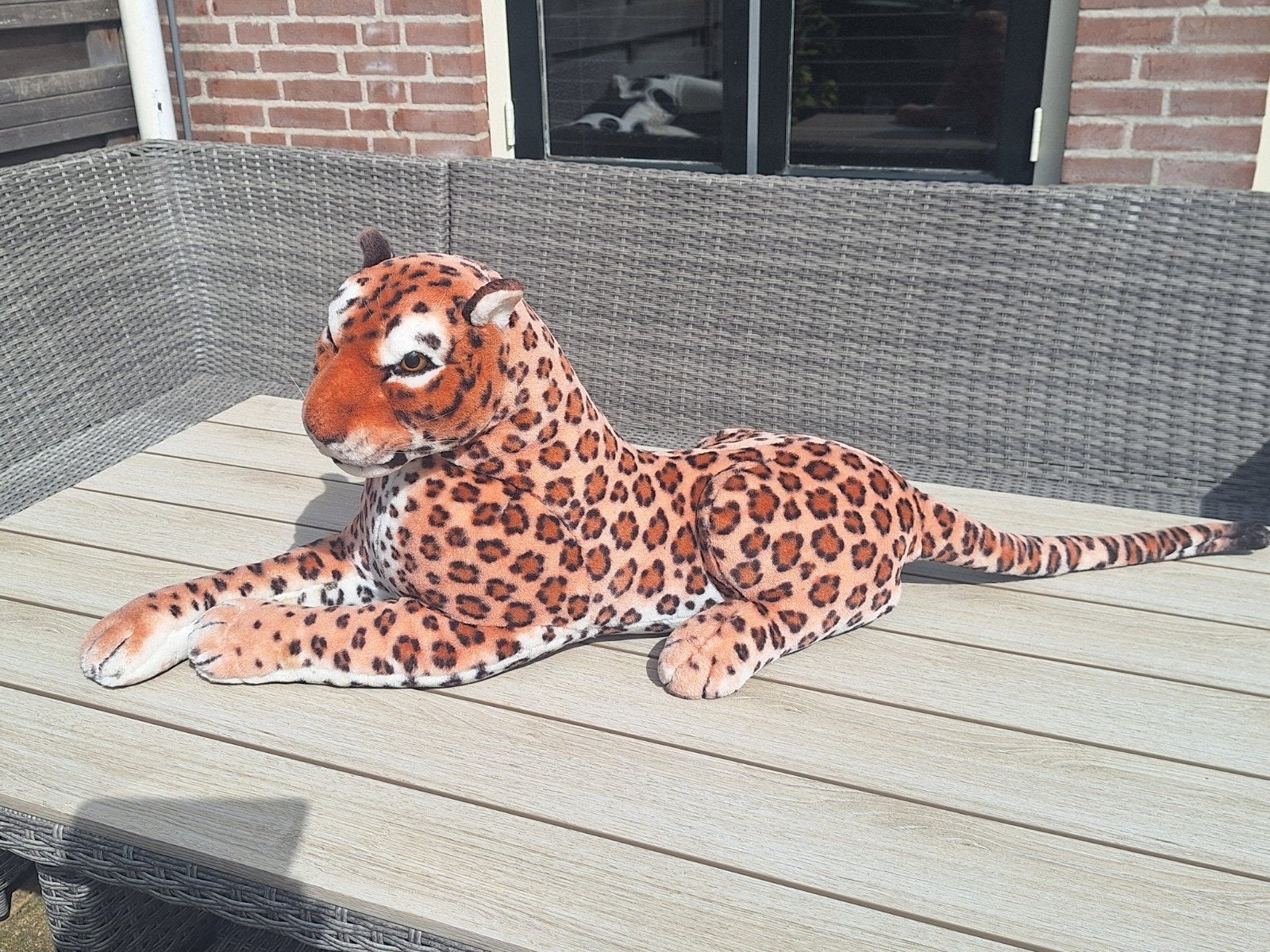 Stoere panter, Ophalen, Zo goed als nieuw, Overige typen