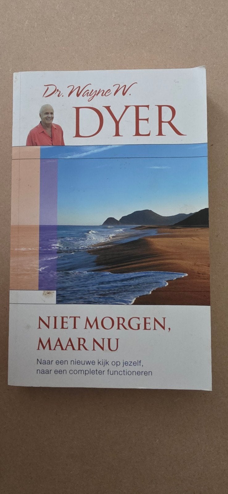 Wayne W. Dyer - Niet morgen, maar nu, Wayne W. Dyer, Ophalen of Verzenden, Zo goed als nieuw
