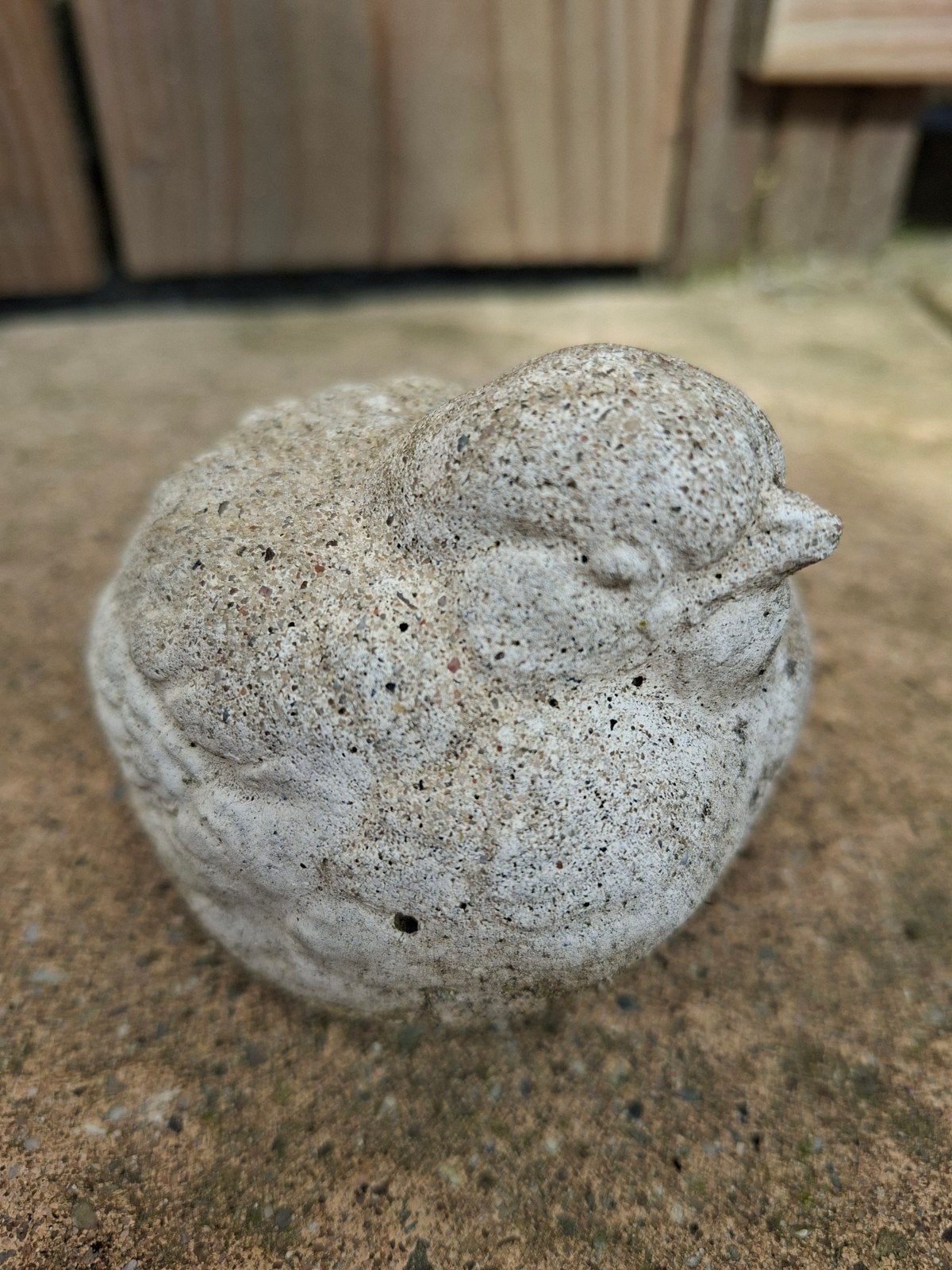 Schattig betonnen vogeltje voor tuin of interieur, Ophalen of Verzenden, Gebruikt, Beton, Dierenbeeld