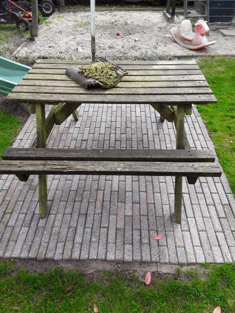 Kinderpicknicktafel, Gebruikt, Rechthoekig, Hout, Ophalen