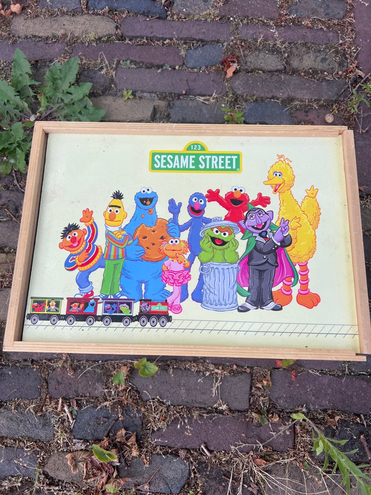 Sesamstraat houten treinbaan met opbergkist, Ophalen, Gebruikt, Rij- of Hobbelspeelgoed