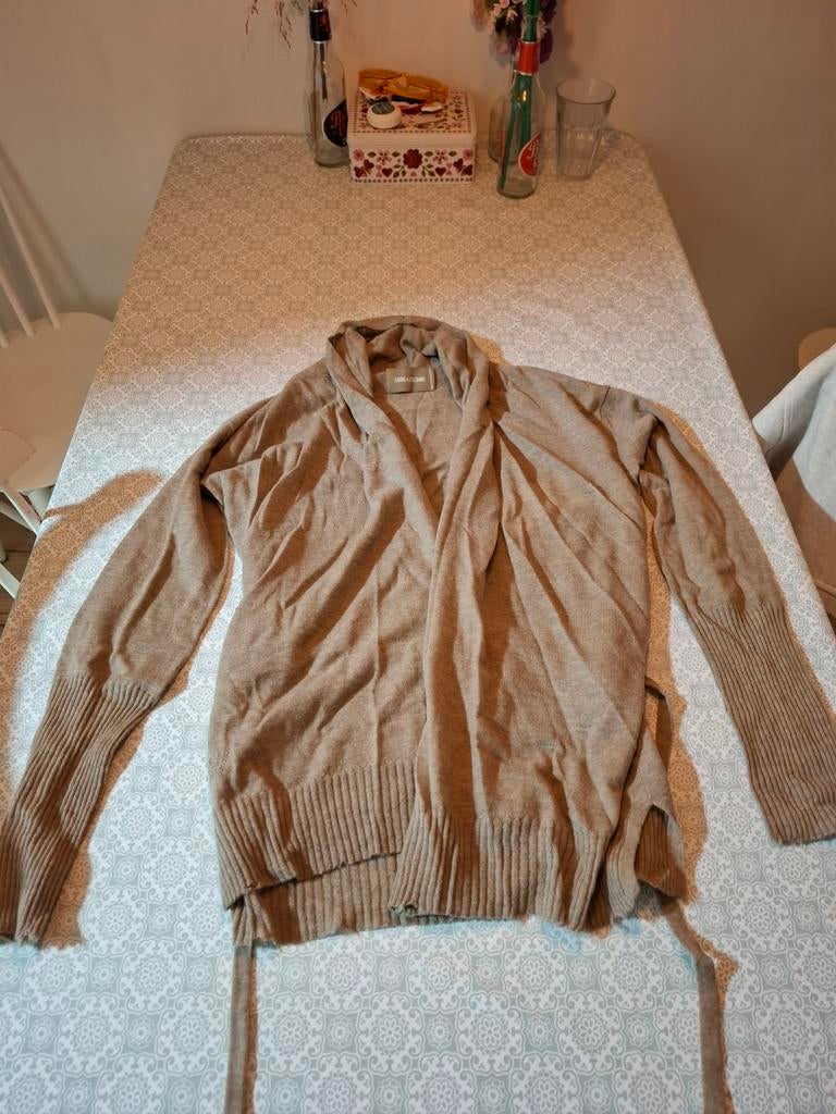 Prachtig beige vest mt XS merk Zadig & Voltaire, Ophalen of Verzenden, Nieuw, Maat 34 (XS) of kleiner, Beige