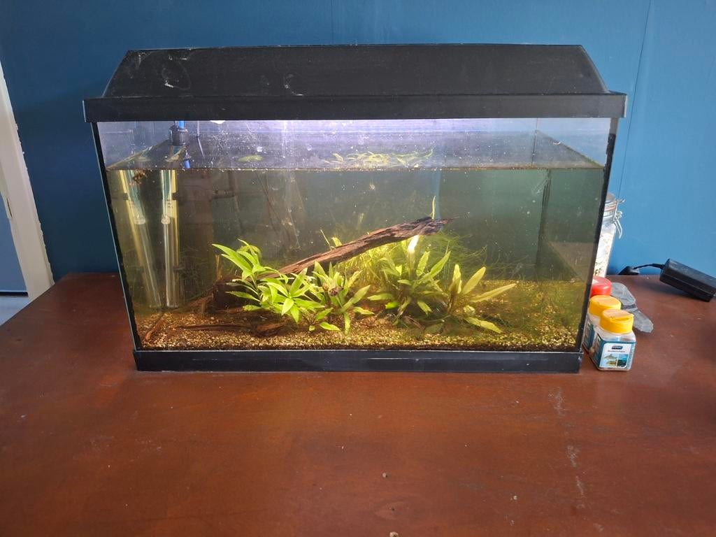 Aquarium 60L, Dieren en Toebehoren, Ophalen, Leeg aquarium