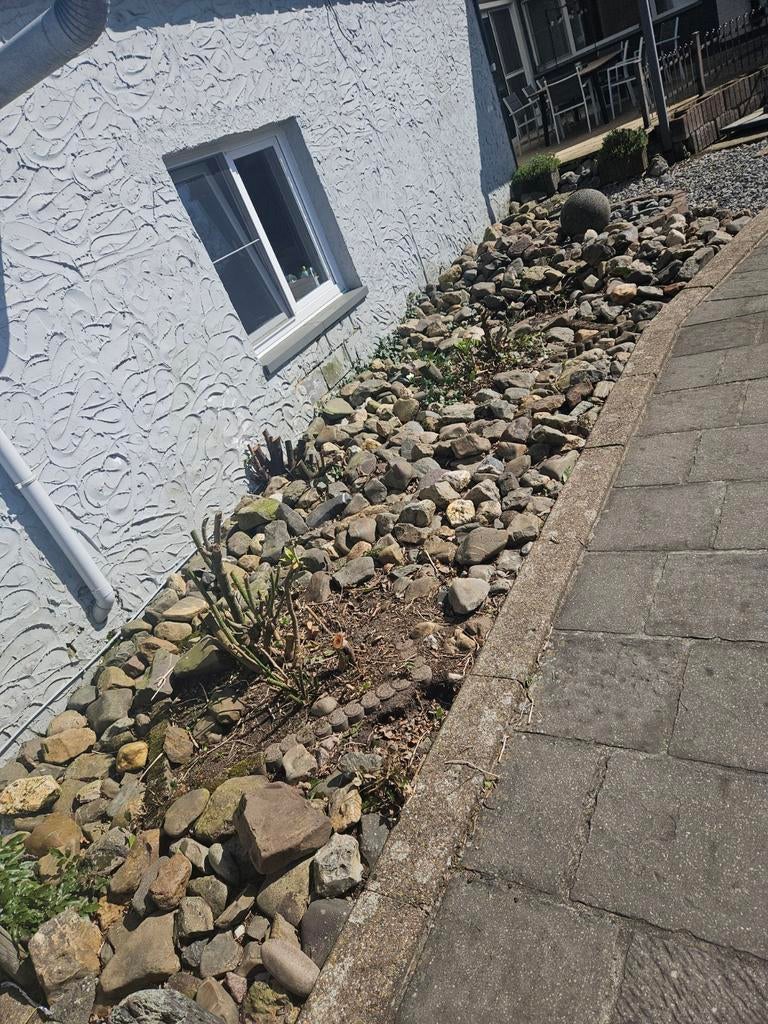 Diverse Maaskeien voor tuin of decoratie, Ophalen, Overige materialen, Gebruikt, Kei