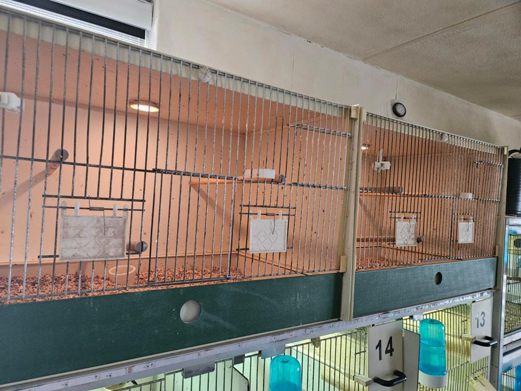 2x heesakkers broed kooien, Dieren en Toebehoren, Vogels | Hokken en Kooien, Ophalen of Verzenden, Kunststof, Broedkooi of Kweekkooi