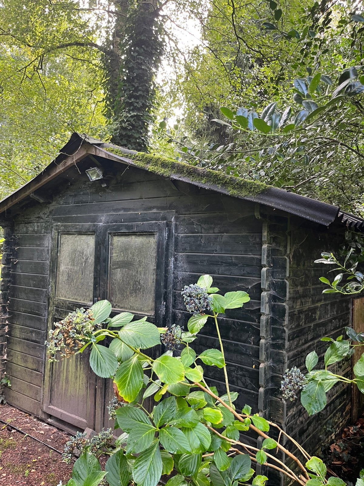 Tuinhuis voor liefhebber hout, Tuin en Terras, Tuinhuizen, Ophalen, Zo goed als nieuw, 250 tot 500 cm