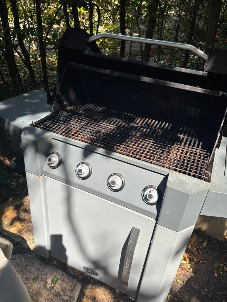 Gasbarbecue Boretti, Ophalen, Gebruikt, Boretti
