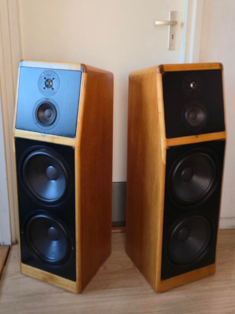 Canton Passieve Luidsprekers - Topkwaliteit!, Ophalen, Gebruikt, Front, Rear of Stereo speakers, Overige merken