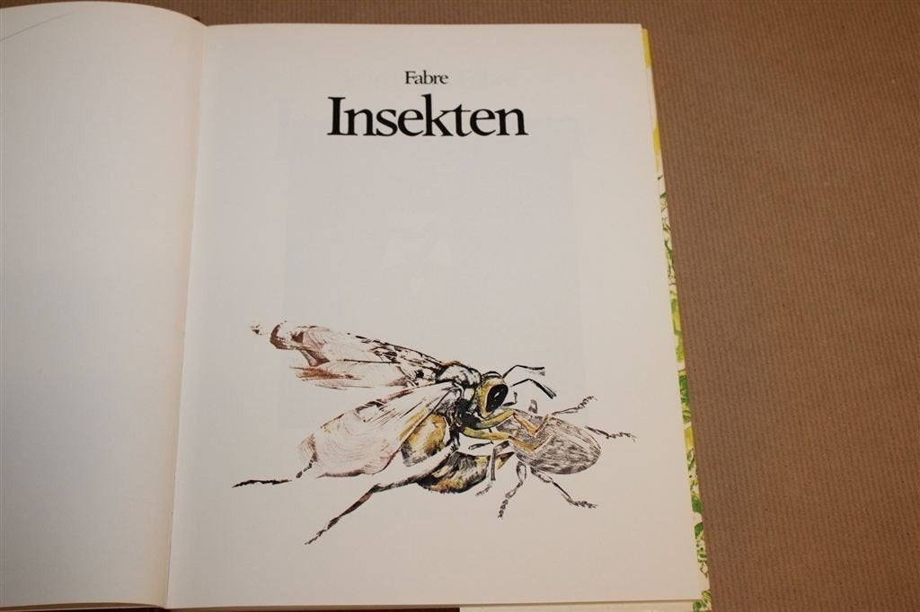 Insekten — Jean Henri Fabre Fraai Geïllustreerd Natuurboek, Boeken, Dieren en Huisdieren, Ophalen of Verzenden, Gelezen, Katten