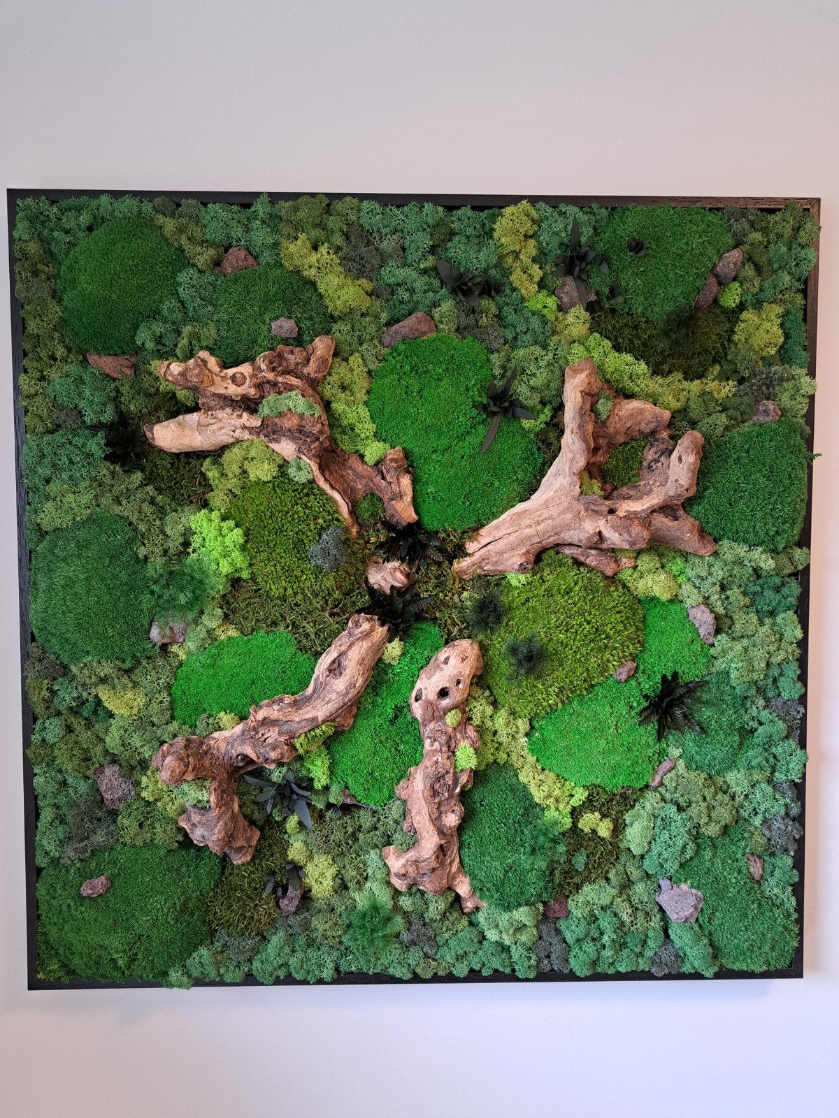 mosschilderij, Ophalen, Nieuw