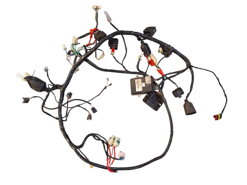 Kabelboom delphi ecu origineel AGM VX50 injectie, Gebruikt, Ophalen of Verzenden