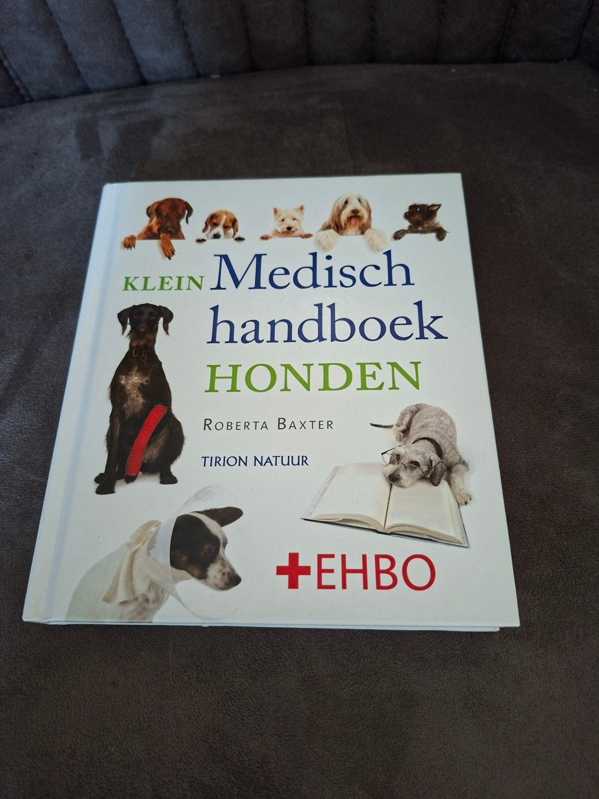 Klein Medisch Handboek Honden + EHBO, Ophalen of Verzenden, Zo goed als nieuw, Honden, Roberta Baxter