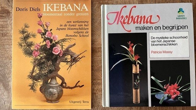 2x IKEBANA voor maar € 8,00, Verzenden, Zo goed als nieuw, Overige typen