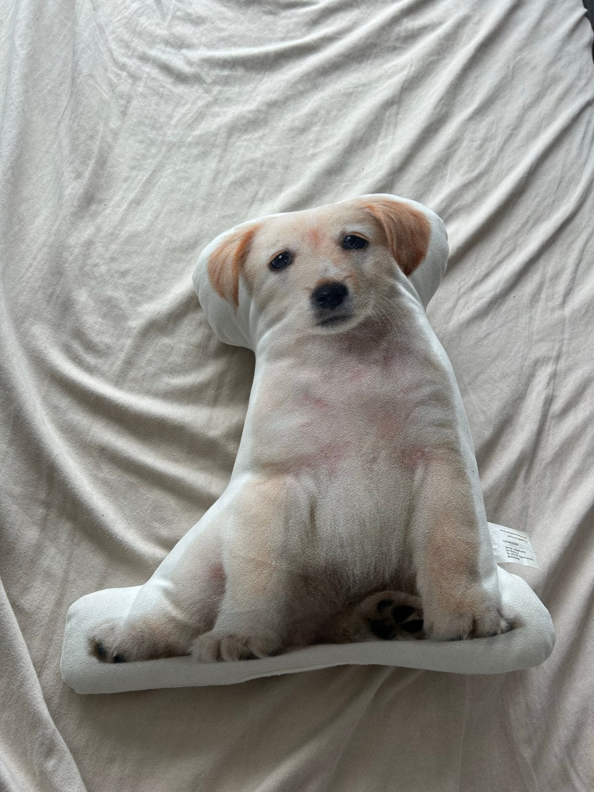 Leuke hondenknuffel kussen - Labrador puppy, Ophalen, Hond, Zo goed als nieuw, Middelgroot (20 tot 80 cm)