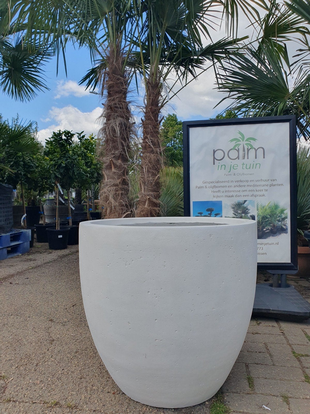 Fiberclay bloempotten xxl Kent, Tuin en Terras, Bloembakken en Plantenbakken, Ophalen, Kunststof, Rond, Nieuw