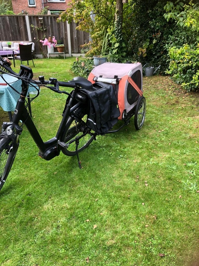 hondenkar, Ophalen, Gebruikt, 20 tot 40 kg, Hondenkar