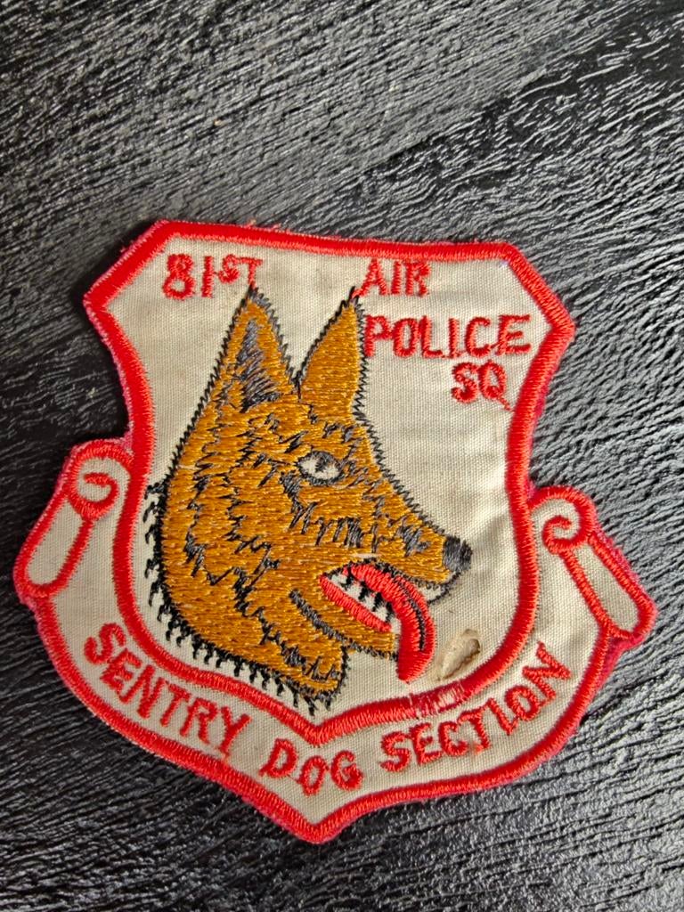embleem van het 81st Security Police Squadron,, Ophalen of Verzenden, Luchtmacht, Amerika, Embleem of Badge