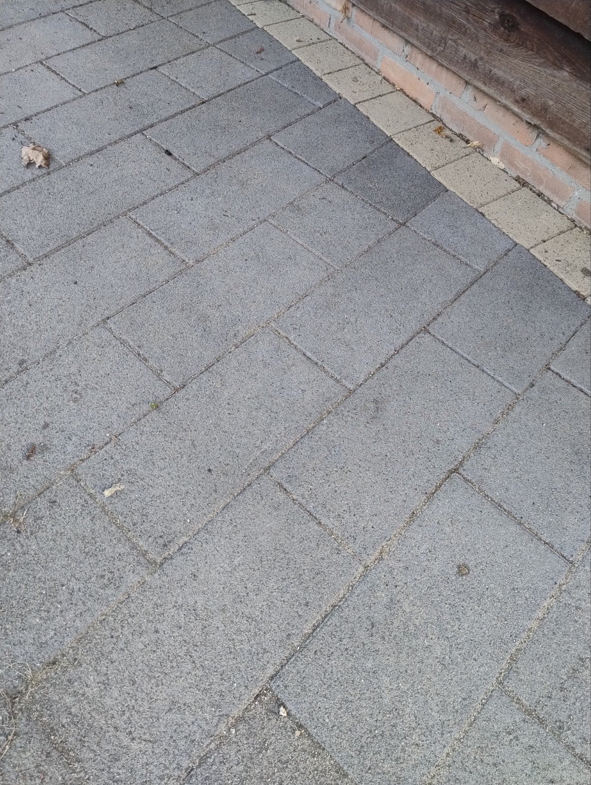 Gratis - tuin tegels, Ophalen, Gebruikt, 10 m² of meer, Beton