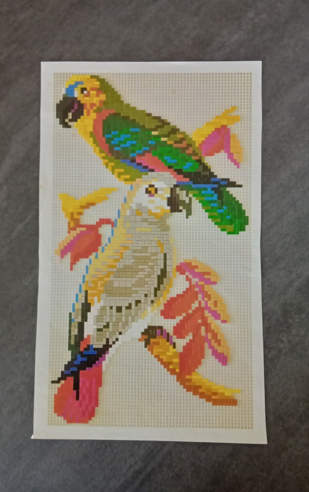 ministeck 10 voorbeeld plaatje vogels, Hobby en Vrije tijd, Ministeck, Ophalen of Verzenden, Voorbeeldboek