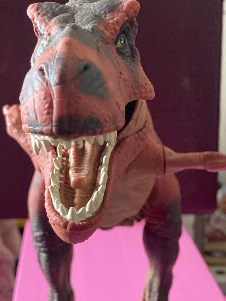 Jurassic park, Ophalen of Verzenden, Gebruikt, Jongen of Meisje