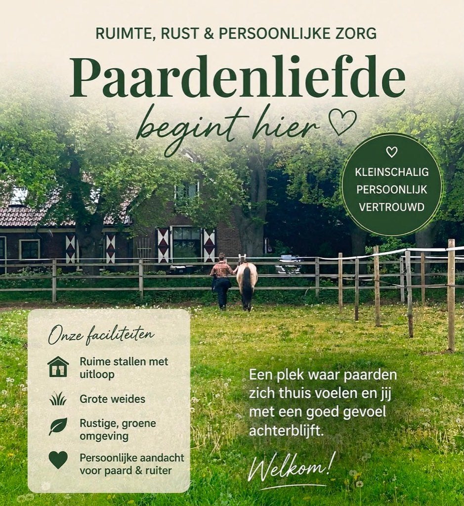 Uniek pony/paarden pension, Dieren en Toebehoren, Stalling en Weidegang, Weidegang, 2 of 3 paarden of pony's