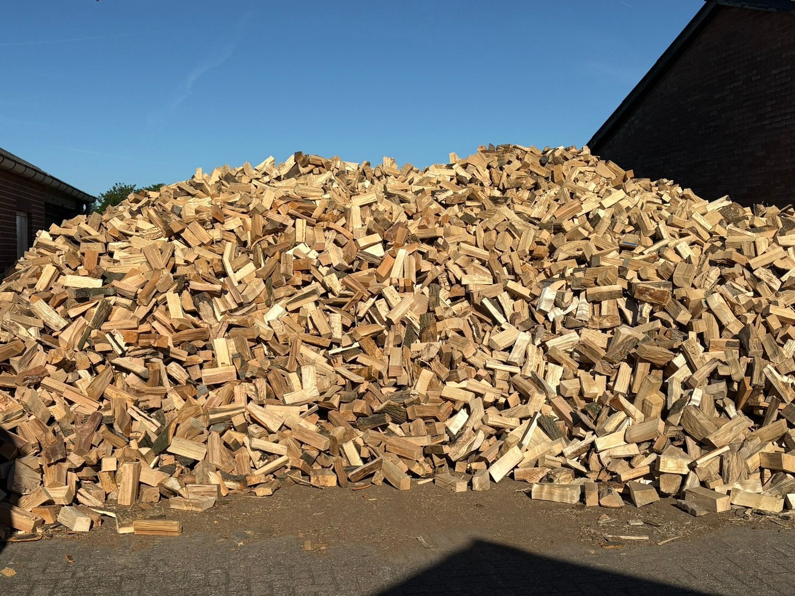 Tekoop openhaardhout, 6 m³ of meer, Ophalen, Eikenhout, Blokken