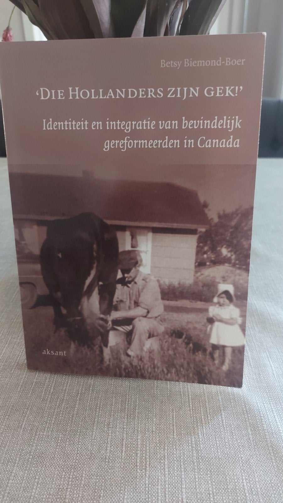 Die Hollanders zijn gek ! - Identiteit en integratie, Ophalen of Verzenden, Zo goed als nieuw, Betsy Biemond-Boer, Christendom | Protestants