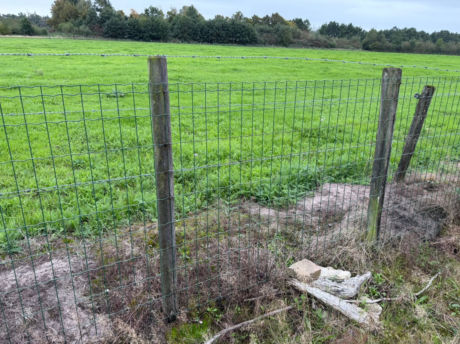 Hekwerk / Afrastering / gaas met houten palen, Ophalen, Gebruikt, 20 meter of meer, Overige typen