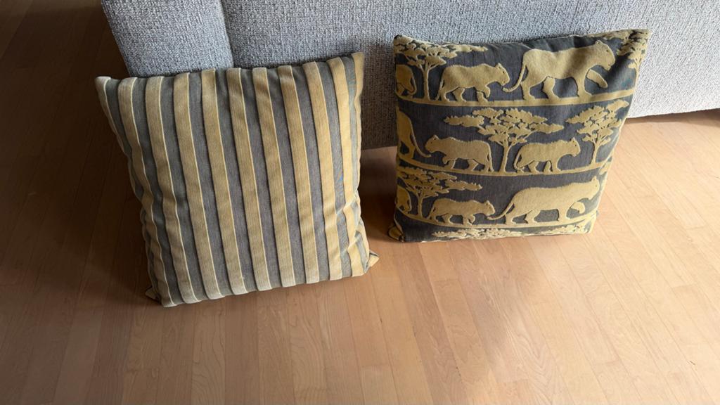 2 originele FENDI kussens, Ophalen, Gebruikt, Overige kleuren, Vierkant