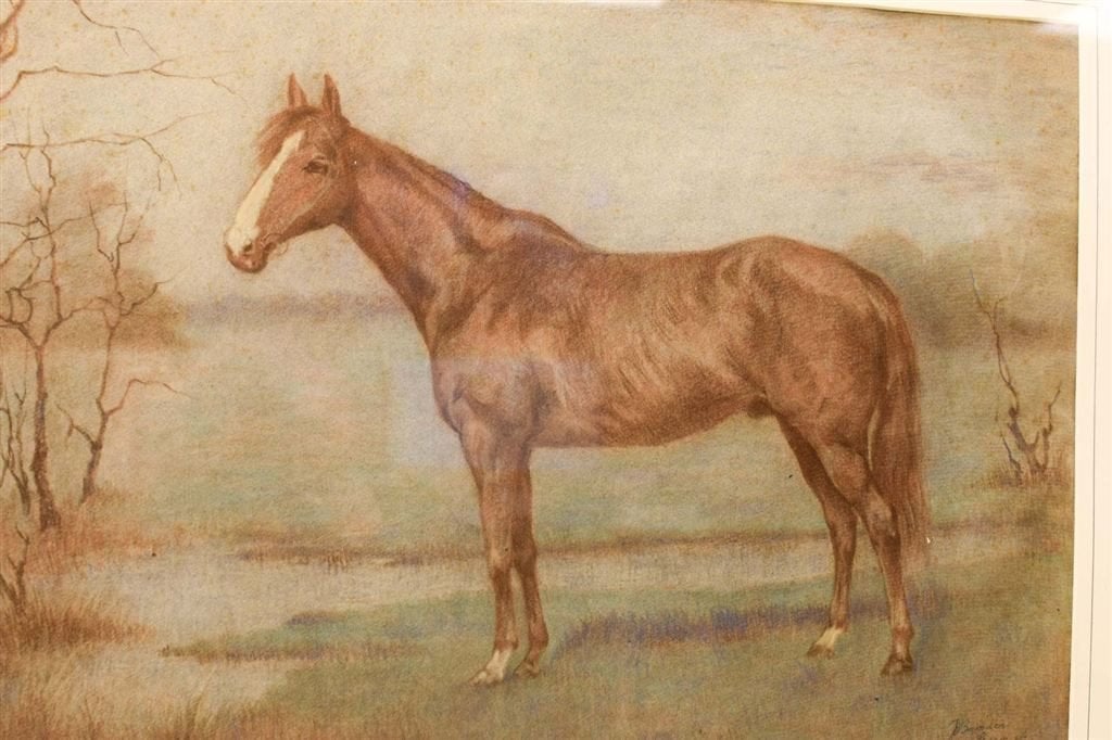Prent/tekening van een paard 47763, Ophalen of Verzenden, Voor 1920, Ongelopen, Paard
