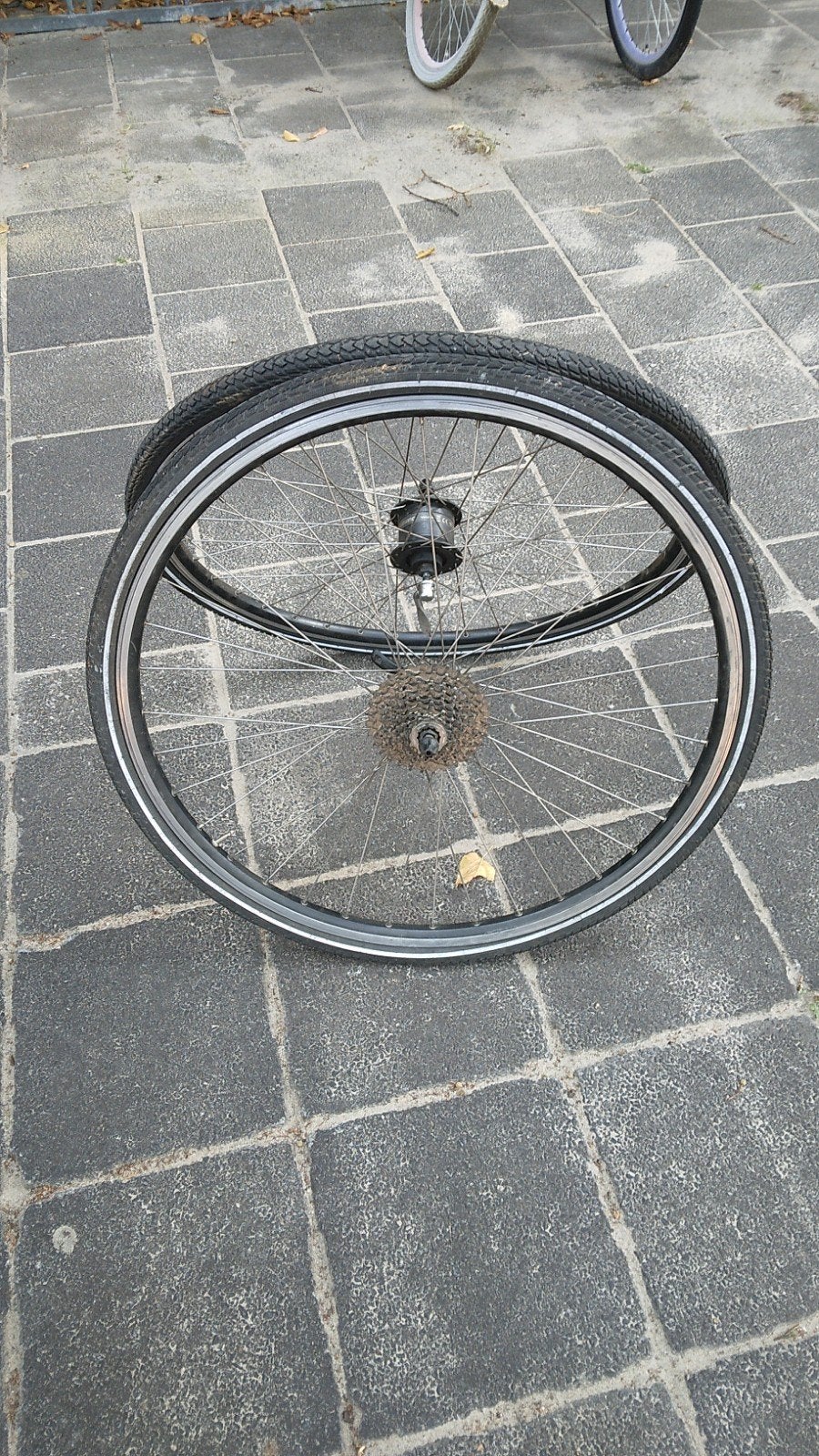 Koga Myata wielen., Ophalen, Wiel