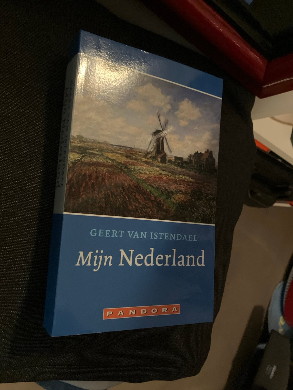 Mijn Nederland - Geert van Istendael (Pandora), Ophalen of Verzenden, Zo goed als nieuw, Nederland