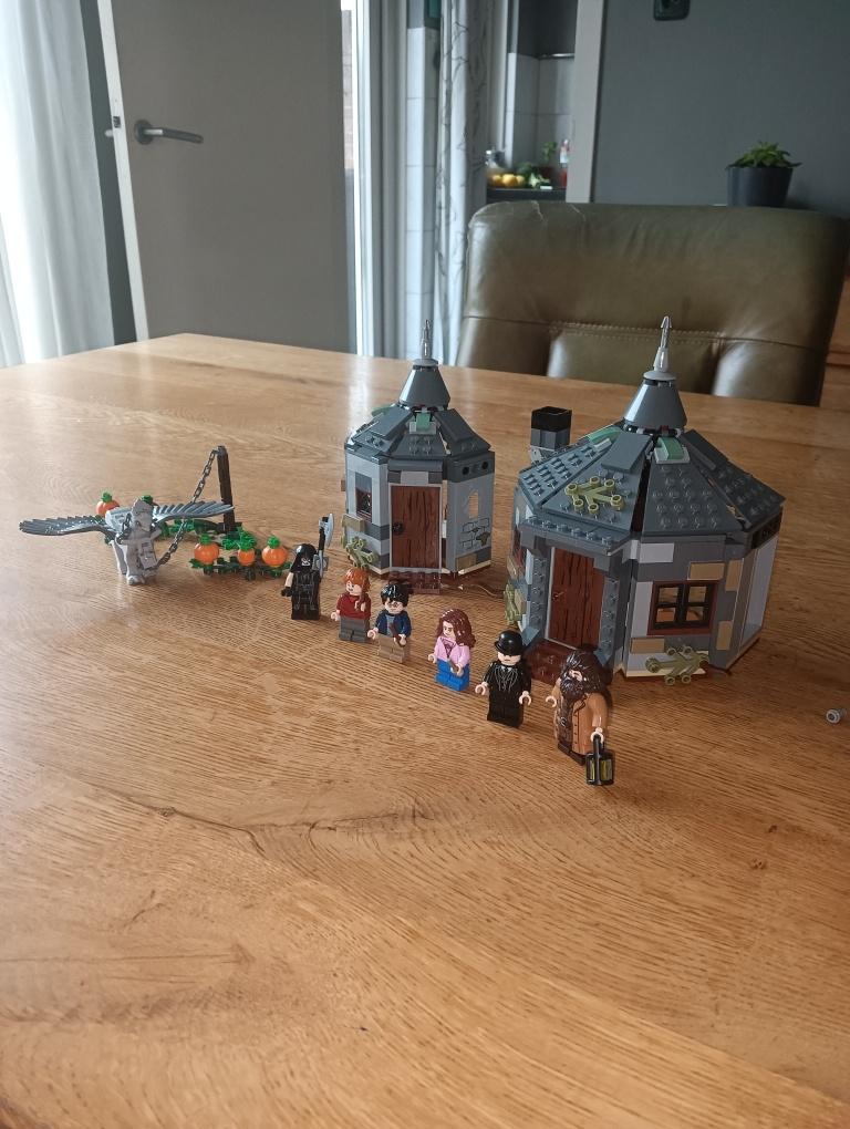 lego 75947, Kinderen en Baby's, Speelgoed | Duplo en Lego, Lego, Harry Potter, Ophalen of Verzenden, Zo goed als nieuw