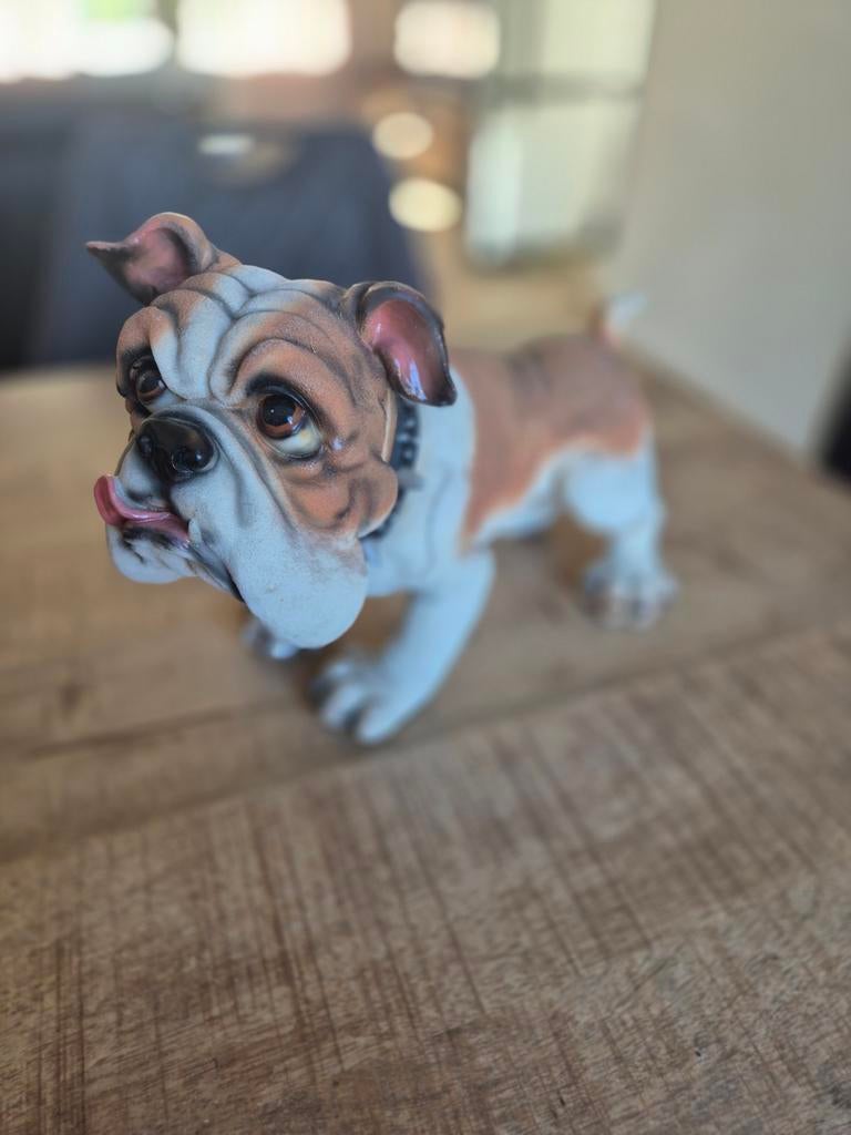Gipsen Engelse bulldog beeld, Ophalen of Verzenden, Dier