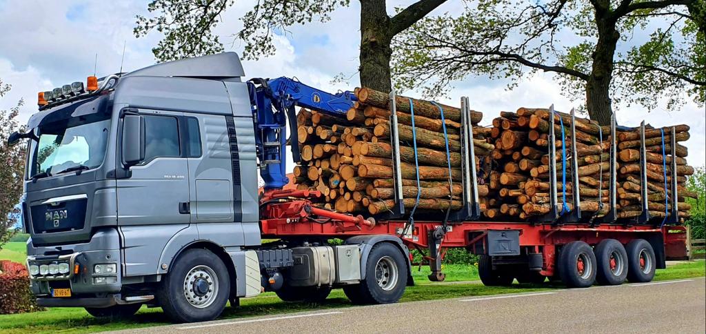 !!Gezocht!! Stamhout/Rondhout tegen marktconforme prijzen, Ophalen of Verzenden