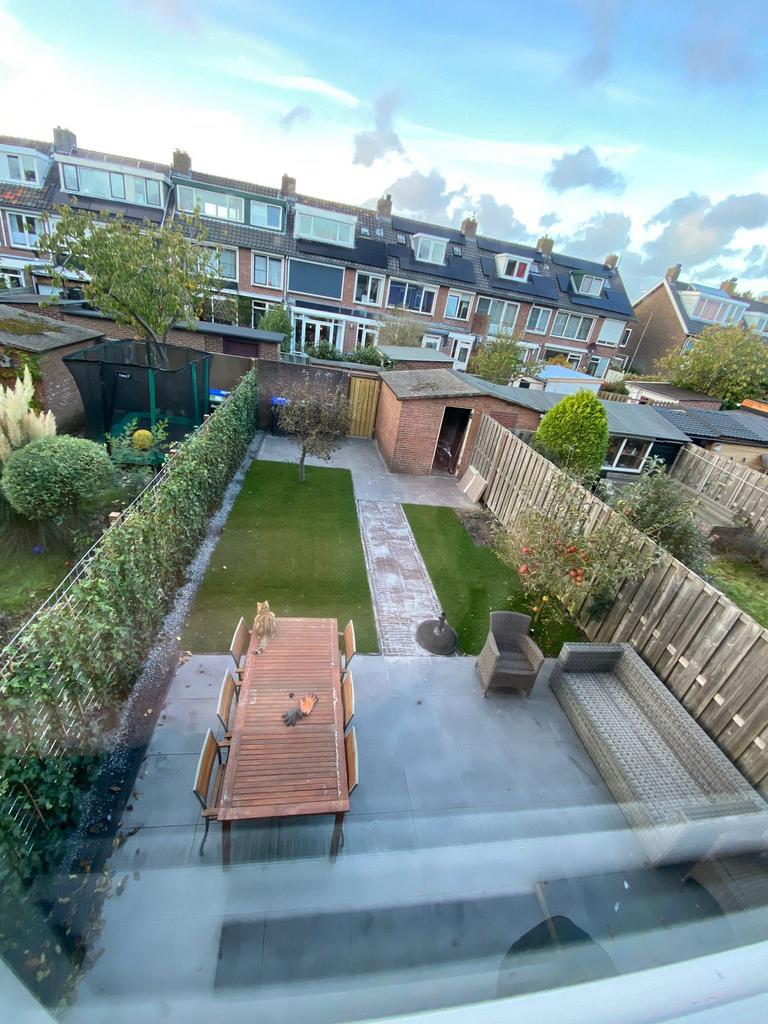 Tuinaanleg,schutting,tuinonderhoud, bomen snoeien, beplanten