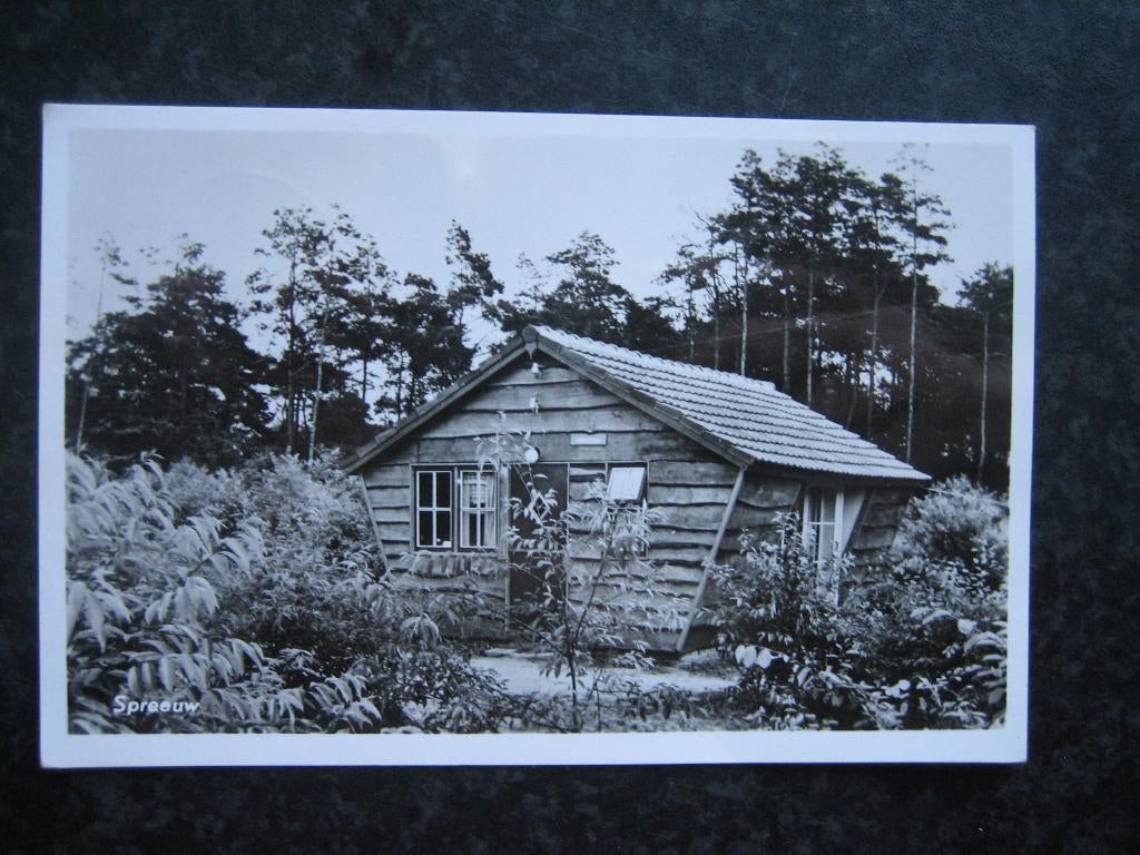 OMMEN Vacantievreugd Huisje SPREEUW  1958, Ophalen of Verzenden, 1940 tot 1960, Overijssel