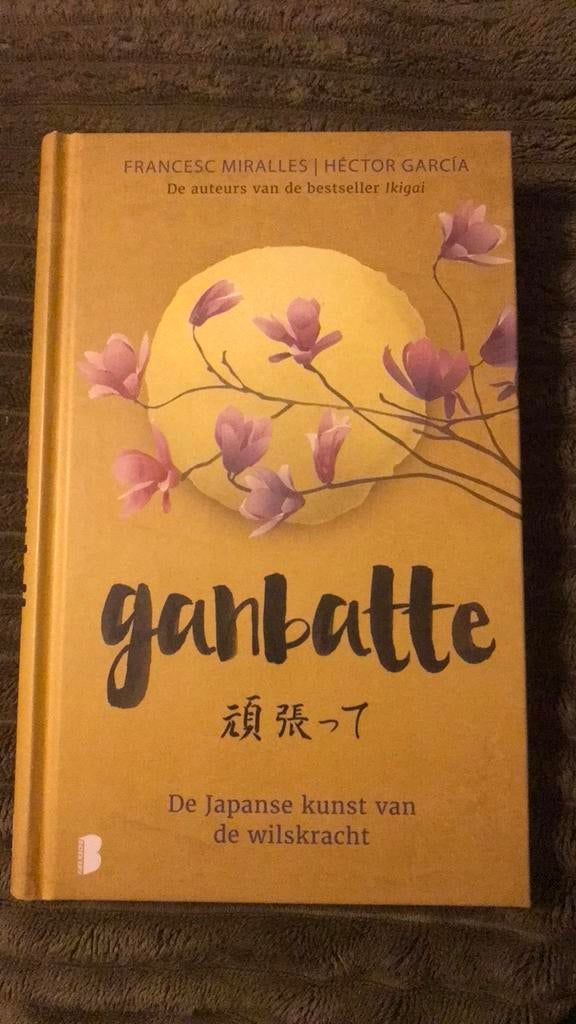Héctor García - Ganbatte, Boeken, Spiritualiteit algemeen, Overige typen, Ophalen of Verzenden, Zo goed als nieuw
