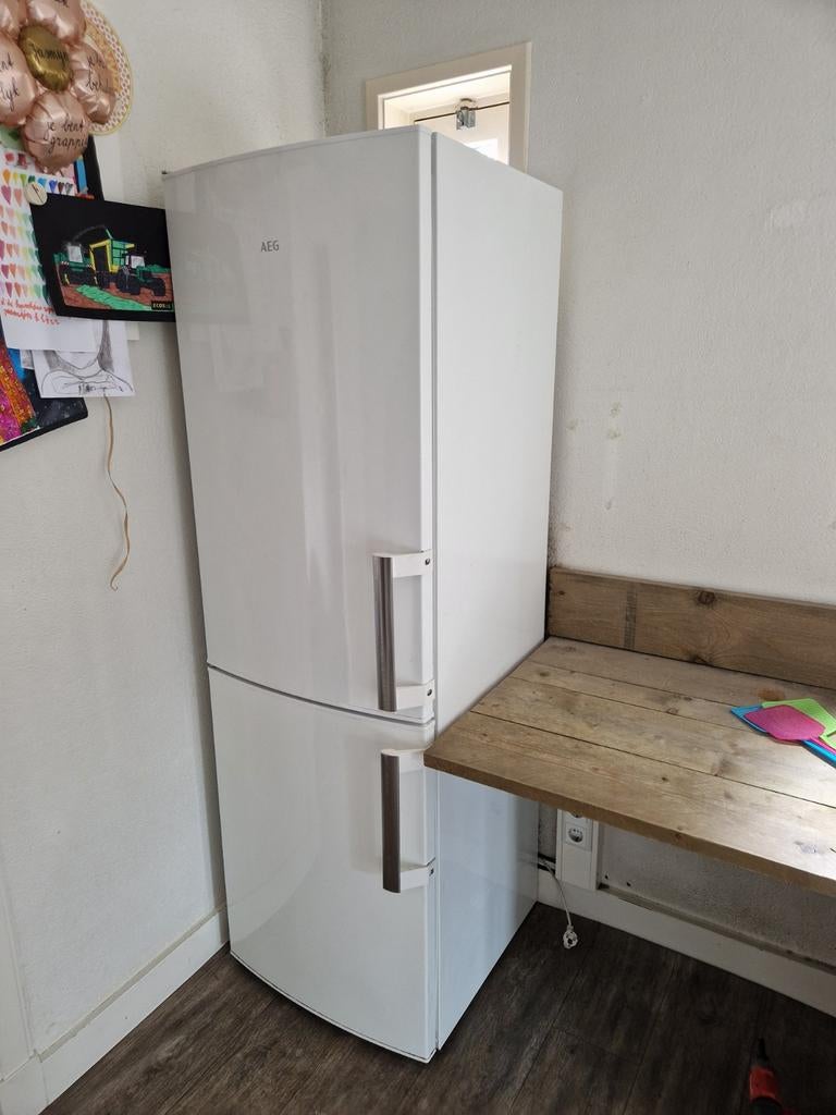 AEG RCB53421NW Koel-vriescombinatie - Wit, Ophalen, 200 liter of meer, 60 cm of meer, Met aparte vriezer