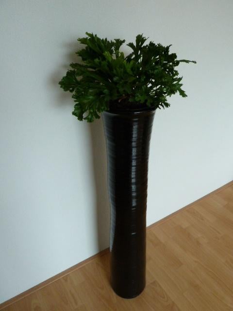 Bloempot/vaas, Ophalen, Overige kleuren, Aardewerk of Porselein, Zo goed als nieuw