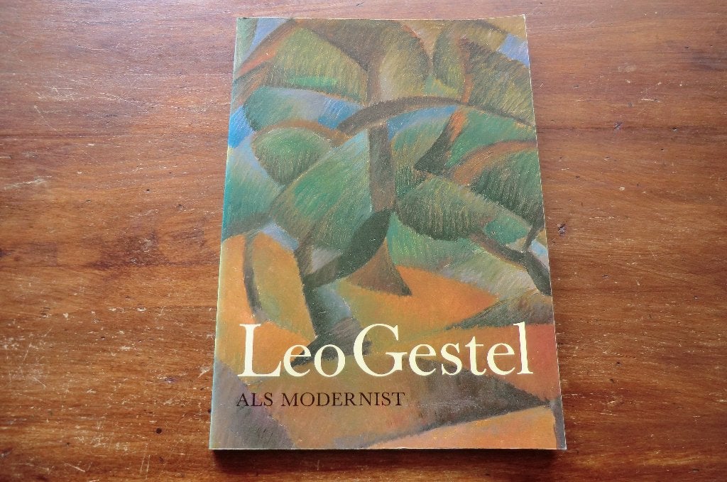 boek - Leo Gestel als modernist / werk uit periode 1907-1922, Ophalen of Verzenden, Gelezen, Schilder- en Tekenkunst