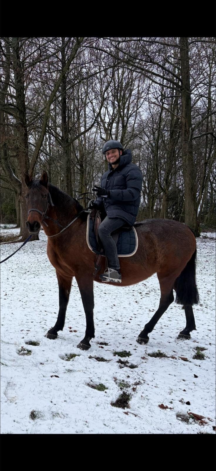 Verzorg paard, Merrie, Recreatiepaard