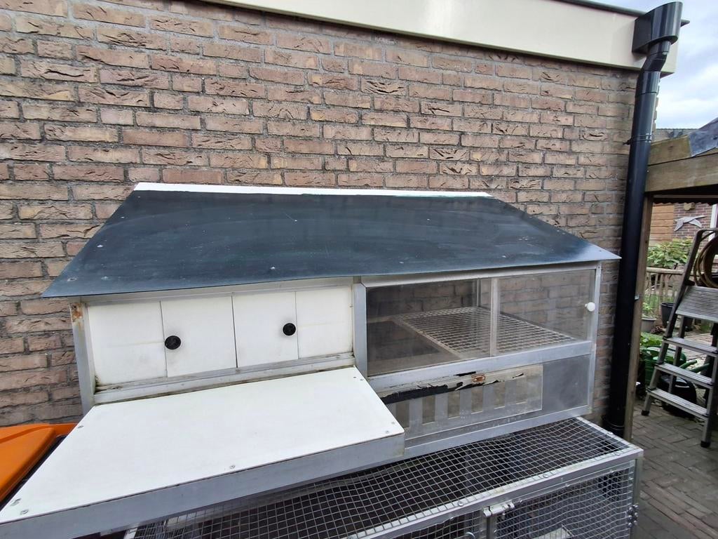 Spoetnik  voor  duivenhok, Dieren en Toebehoren, Vogels | Duiven, Postduif