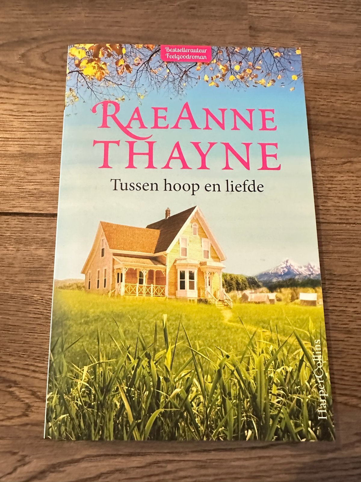 RaeAnne Thayne - Tussen hoop en liefde (Feelgoodroman), Ophalen, Zo goed als nieuw, Amerika